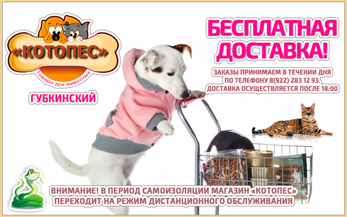 Внимание! В период самоизоляции магазин «КотоПес» переходит на режим дистанционного обслуживания