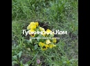 Красота рядом с нами