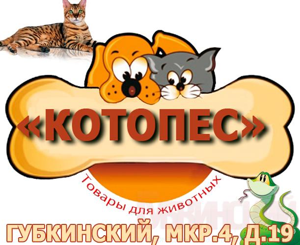 Акция! Паучи - Whiskas по 17 руб, Kitekat 15 руб.