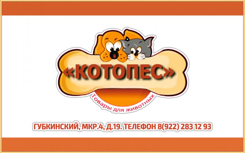 Зоомагазин «Котопес» Зоомагазин «Котопес»