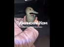 Беспомощная уточка