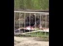 Огромный медведь на Харампуре залез в ограждение к задвижкам и начал их крушить.