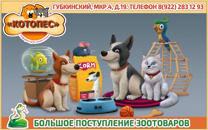 Зоомагазин «Котопес» - Большое поступление зоотоваров!