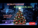 Новогоднее уличное представление для пациентов и сотрудников горбольницы.