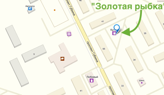 ЗОЛОТАЯ РЫБКА.jpg