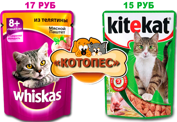 котопеса.png