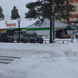 Продаю Дом в центре п.Пурпе
