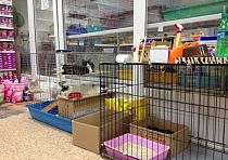 Зоомагазин «Котопес»