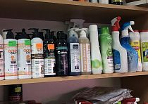 Зоомагазин «Котопес»